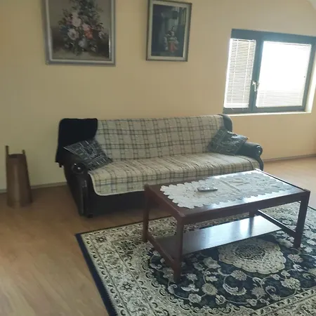 Apartment Mile Soko Banja