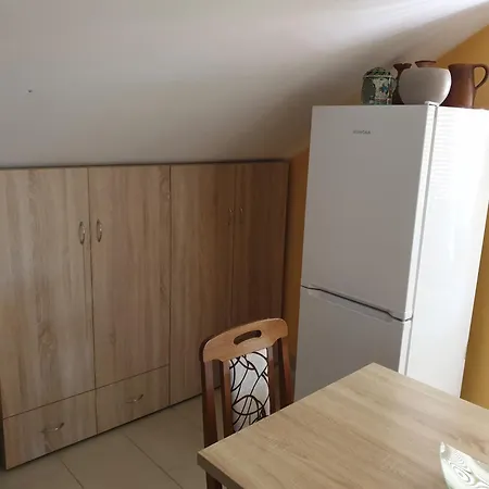 Mile Апартаменты Сокобаня