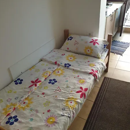 Mile Апартаменты Сокобаня